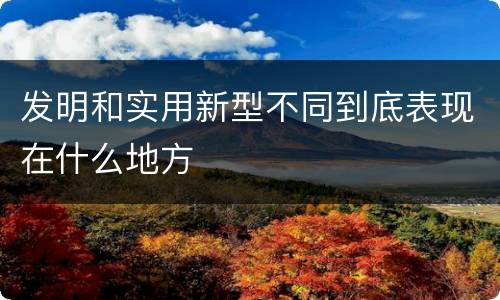 发明和实用新型不同到底表现在什么地方