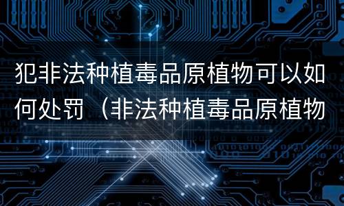 犯非法种植毒品原植物可以如何处罚（非法种植毒品原植物的处罚）