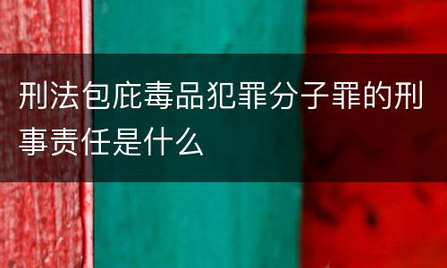 刑法包庇毒品犯罪分子罪的刑事责任是什么