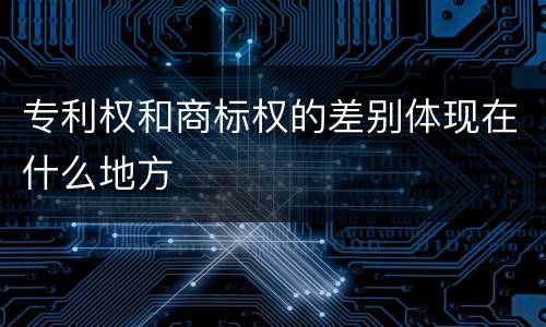 专利权和商标权的差别体现在什么地方