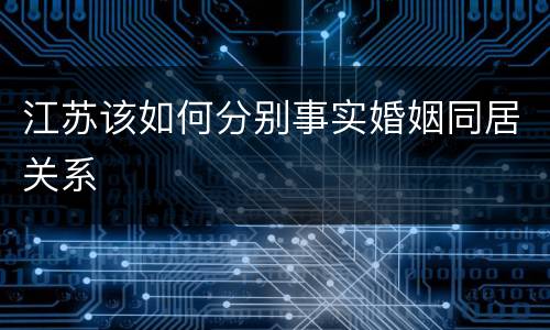 江苏该如何分别事实婚姻同居关系