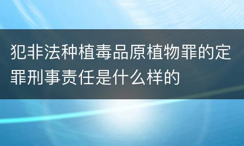 犯非法种植毒品原植物罪的定罪刑事责任是什么样的