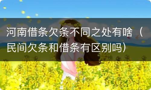 河南借条欠条不同之处有啥（民间欠条和借条有区别吗）