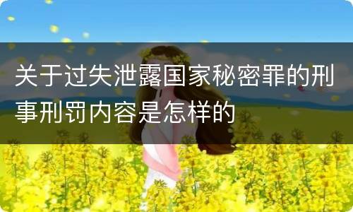 关于过失泄露国家秘密罪的刑事刑罚内容是怎样的