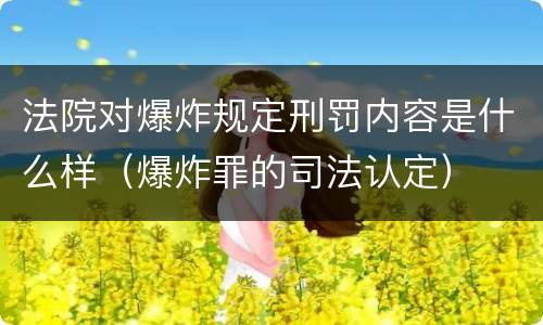 法院对爆炸规定刑罚内容是什么样（爆炸罪的司法认定）