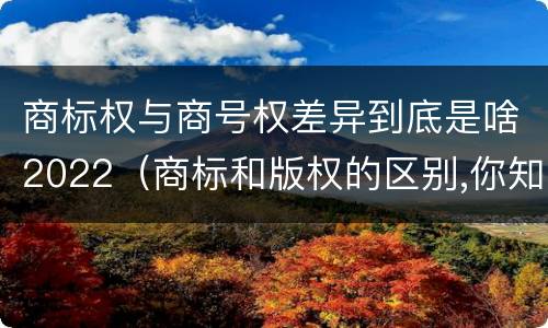 商标权与商号权差异到底是啥2022（商标和版权的区别,你知道多少?）