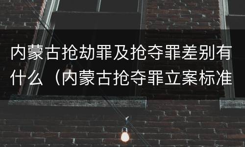 内蒙古抢劫罪及抢夺罪差别有什么（内蒙古抢夺罪立案标准）