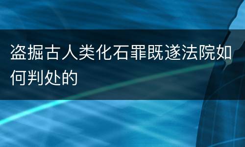 盗掘古人类化石罪既遂法院如何判处的