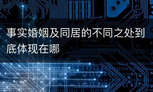 事实婚姻及同居的不同之处到底体现在哪