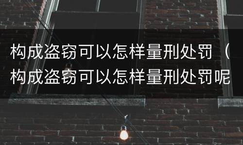 构成盗窃可以怎样量刑处罚（构成盗窃可以怎样量刑处罚呢）