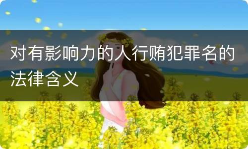 对有影响力的人行贿犯罪名的法律含义
