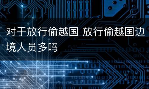 对于放行偷越国 放行偷越国边境人员多吗