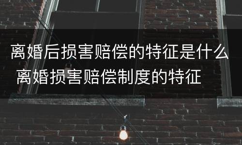 离婚后损害赔偿的特征是什么 离婚损害赔偿制度的特征