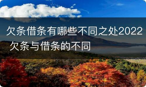 欠条借条有哪些不同之处2022 欠条与借条的不同