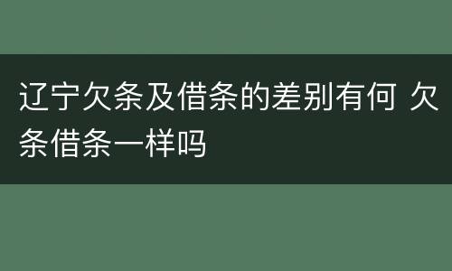 辽宁欠条及借条的差别有何 欠条借条一样吗