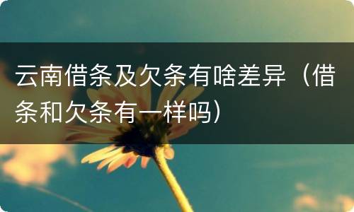 云南借条及欠条有啥差异（借条和欠条有一样吗）