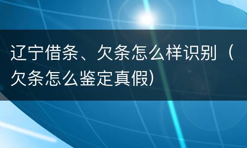 辽宁借条、欠条怎么样识别（欠条怎么鉴定真假）