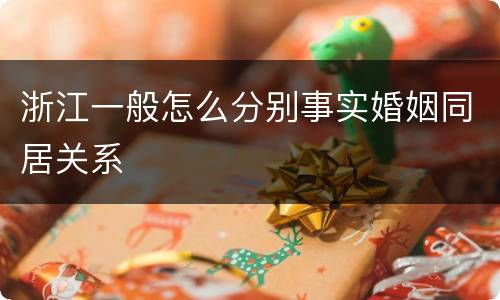 浙江一般怎么分别事实婚姻同居关系