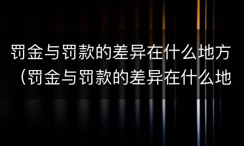 罚金与罚款的差异在什么地方（罚金与罚款的差异在什么地方填写）