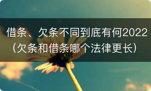 借条、欠条不同到底有何2022（欠条和借条哪个法律更长）