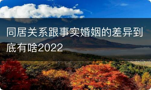 同居关系跟事实婚姻的差异到底有啥2022