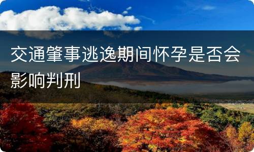 交通肇事逃逸期间怀孕是否会影响判刑