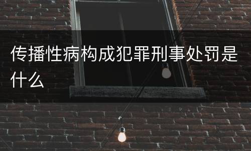 传播性病构成犯罪刑事处罚是什么