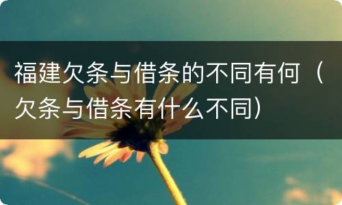 福建欠条与借条的不同有何（欠条与借条有什么不同）