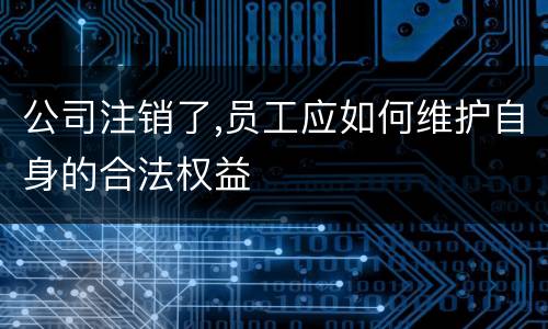 公司注销了,员工应如何维护自身的合法权益