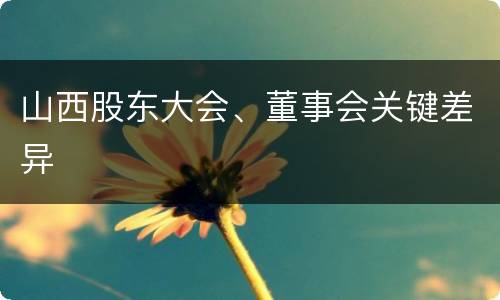 山西股东大会、董事会关键差异