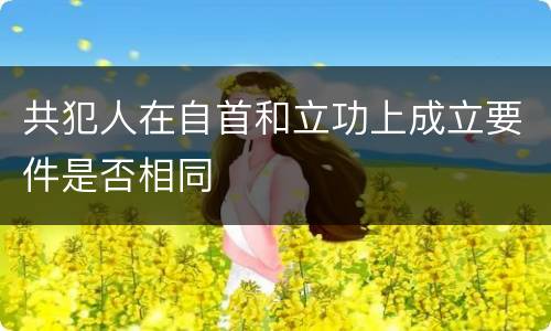 共犯人在自首和立功上成立要件是否相同