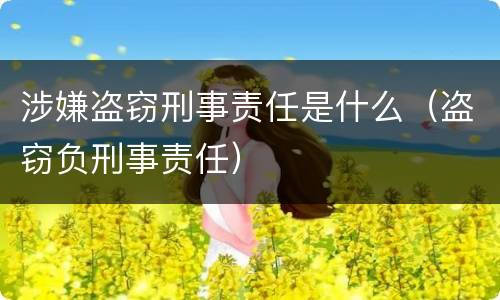 涉嫌盗窃刑事责任是什么（盗窃负刑事责任）