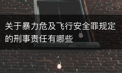 关于暴力危及飞行安全罪规定的刑事责任有哪些