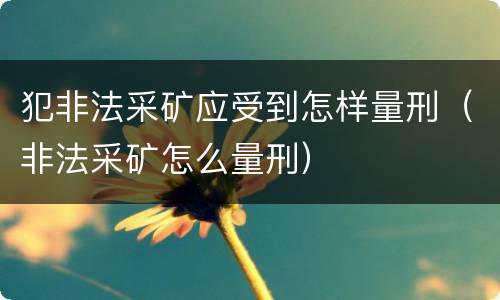 犯非法采矿应受到怎样量刑（非法采矿怎么量刑）