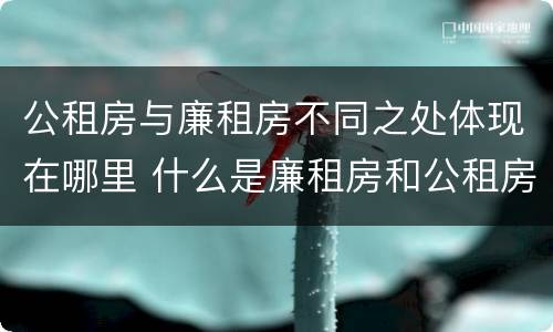公租房与廉租房不同之处体现在哪里 什么是廉租房和公租房两个有什么特点