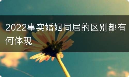 2022事实婚姻同居的区别都有何体现