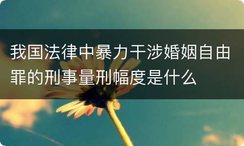 我国法律中暴力干涉婚姻自由罪的刑事量刑幅度是什么