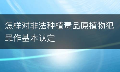 怎样对非法种植毒品原植物犯罪作基本认定