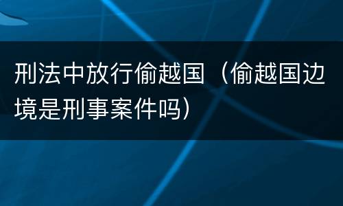 刑法中放行偷越国（偷越国边境是刑事案件吗）