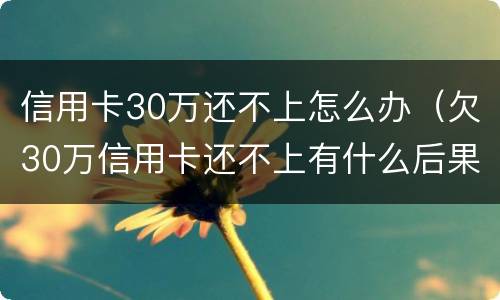 信用卡30万还不上怎么办（欠30万信用卡还不上有什么后果）