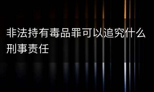 非法持有毒品罪可以追究什么刑事责任