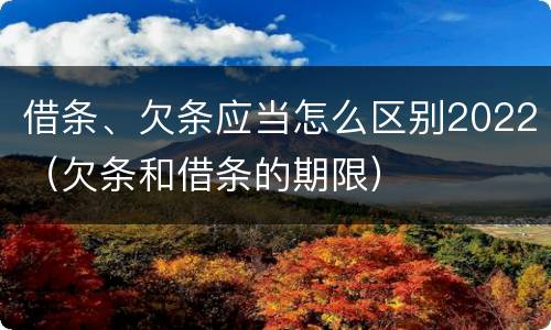 借条、欠条应当怎么区别2022（欠条和借条的期限）