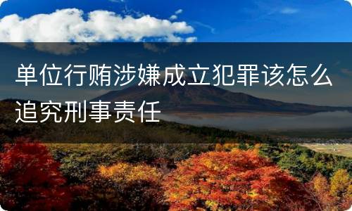 单位行贿涉嫌成立犯罪该怎么追究刑事责任
