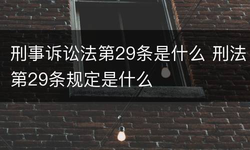 刑事诉讼法第29条是什么 刑法第29条规定是什么