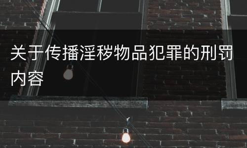 关于传播淫秽物品犯罪的刑罚内容