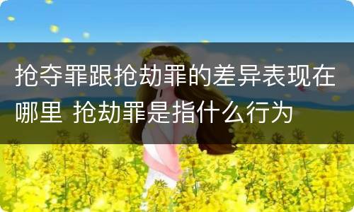 抢夺罪跟抢劫罪的差异表现在哪里 抢劫罪是指什么行为