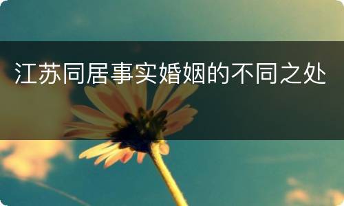 江苏同居事实婚姻的不同之处