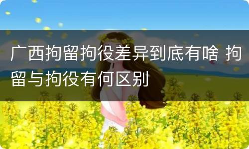 广西拘留拘役差异到底有啥 拘留与拘役有何区别