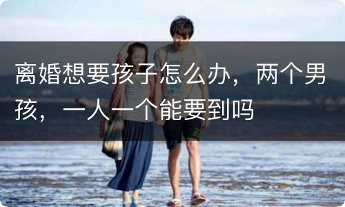 离婚想要孩子怎么办，两个男孩，一人一个能要到吗
