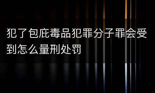 犯了包庇毒品犯罪分子罪会受到怎么量刑处罚